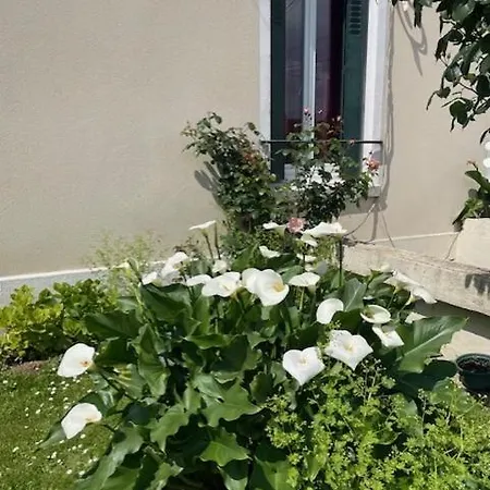 T2 Bucolique Apartment Trappes